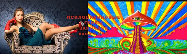 мефедрон мука Нефтекумск